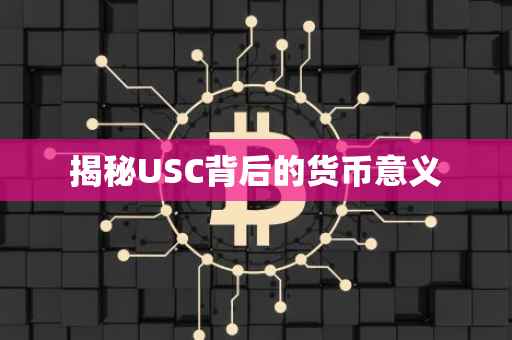揭秘USC背后的货币意义