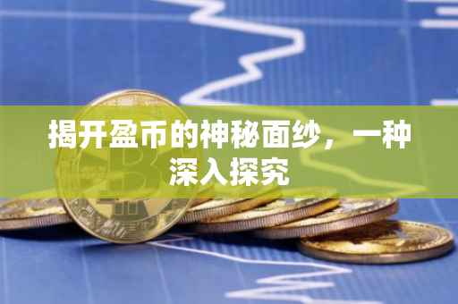 揭开盈币的神秘面纱，一种深入探究
