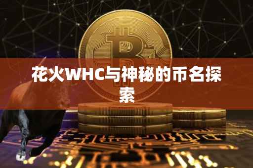 花火WHC与神秘的币名探索