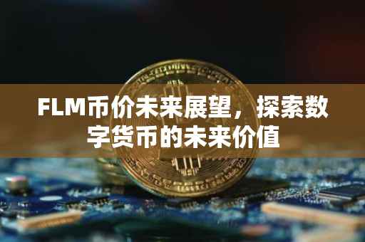FLM币价未来展望，探索数字货币的未来价值