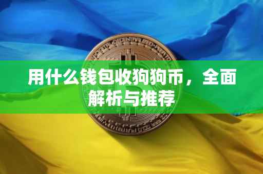 用什么钱包收狗狗币，全面解析与推荐