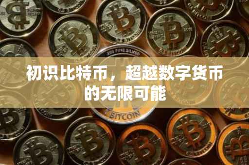 初识比特币，超越数字货币的无限可能