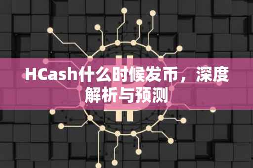 HCash什么时候发币，深度解析与预测