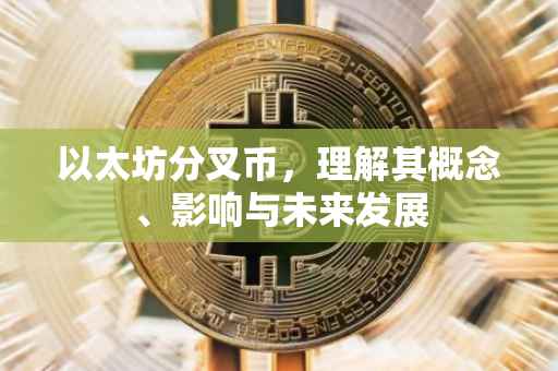 以太坊分叉币，理解其概念、影响与未来发展