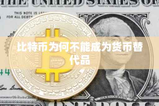 比特币为何不能成为货币替代品