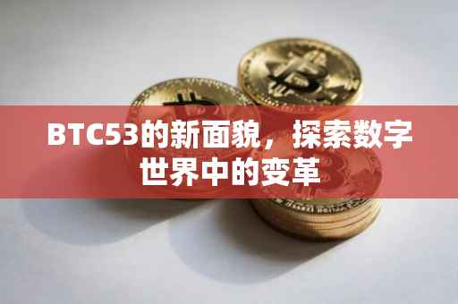 BTC53的新面貌，探索数字世界中的变革