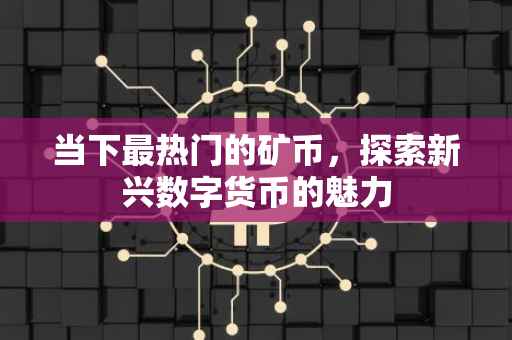 当下最热门的矿币，探索新兴数字货币的魅力