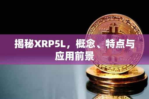 揭秘XRP5L，概念、特点与应用前景