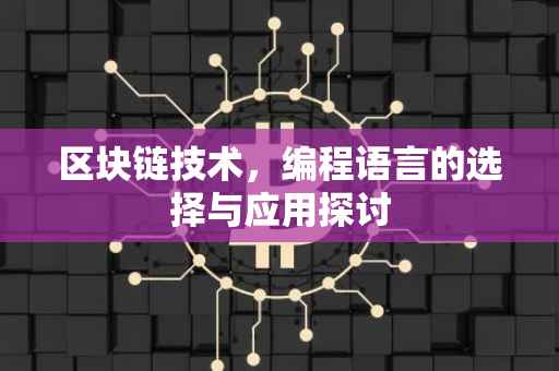 区块链技术，编程语言的选择与应用探讨