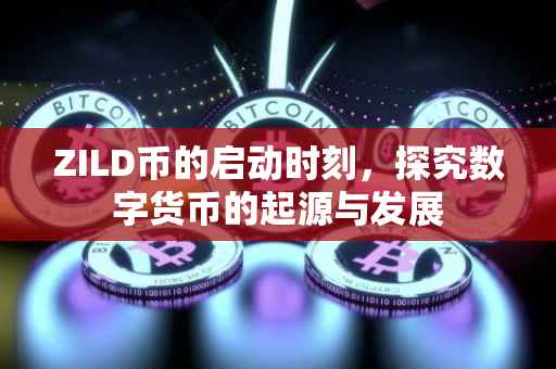 ZILD币的启动时刻，探究数字货币的起源与发展