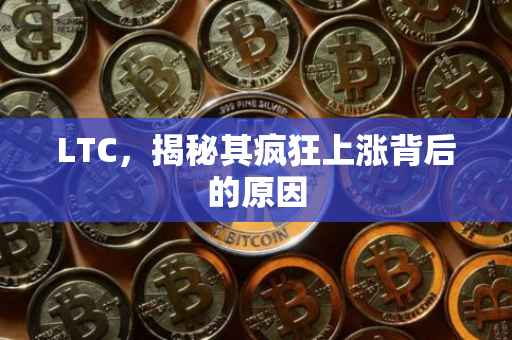 LTC，揭秘其疯狂上涨背后的原因