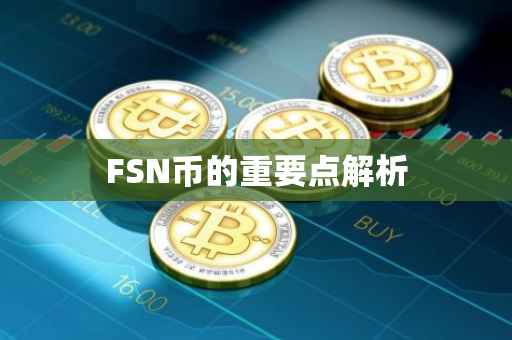 FSN币的重要点解析