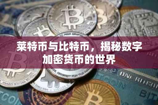莱特币与比特币，揭秘数字加密货币的世界