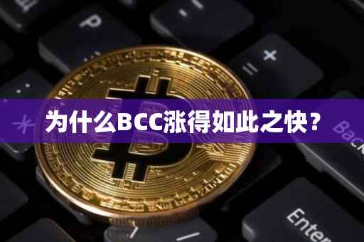 为什么BCC涨得如此之快？