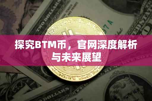 探究BTM币，官网深度解析与未来展望