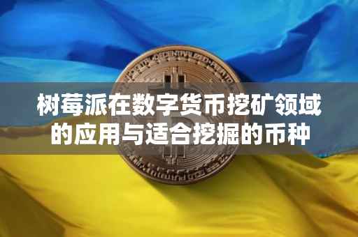 树莓派在数字货币挖矿领域的应用与适合挖掘的币种