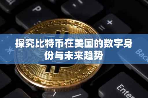 探究比特币在美国的数字身份与未来趋势