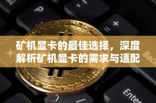 矿机显卡的最佳选择，深度解析矿机显卡的需求与适配性