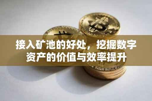 接入矿池的好处，挖掘数字资产的价值与效率提升