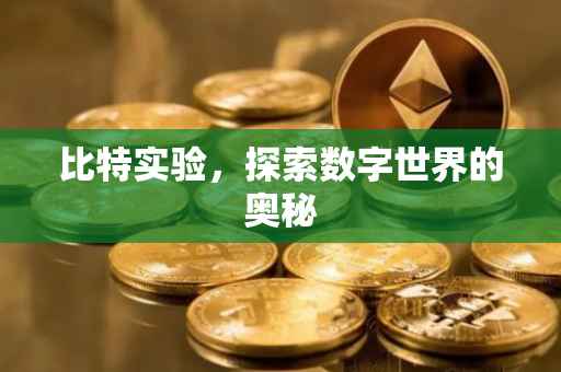 比特实验，探索数字世界的奥秘