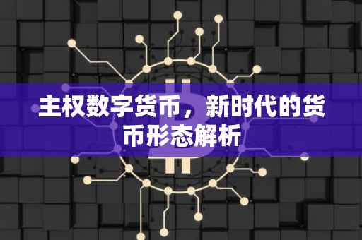 主权数字货币，新时代的货币形态解析