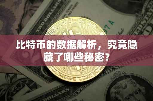 比特币的数据解析，究竟隐藏了哪些秘密？