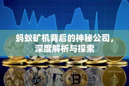 蚂蚁矿机背后的神秘公司，深度解析与探索