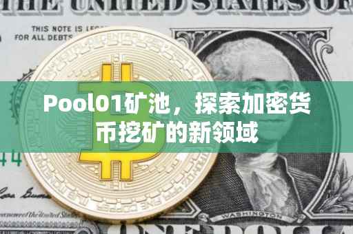 Pool01矿池，探索加密货币挖矿的新领域