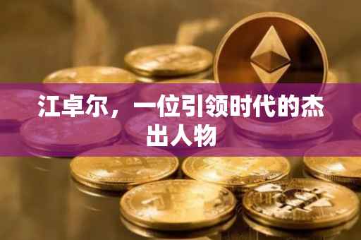 江卓尔，一位引领时代的杰出人物