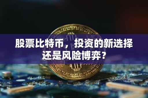 股票比特币，投资的新选择还是风险博弈？