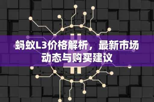 蚂蚁L3价格解析，最新市场动态与购买建议