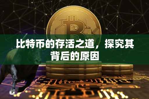 比特币的存活之道，探究其背后的原因