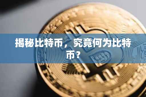 揭秘比特币，究竟何为比特币？