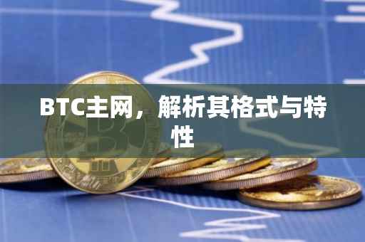 BTC主网，解析其格式与特性