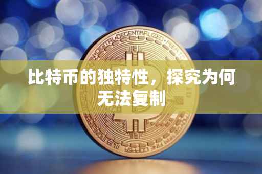 比特币的独特性，探究为何无法复制
