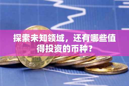 探索未知领域，还有哪些值得投资的币种？