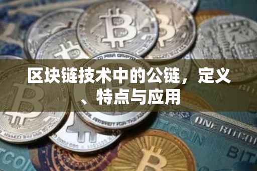 区块链技术中的公链，定义、特点与应用