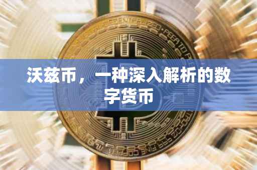 沃兹币，一种深入解析的数字货币