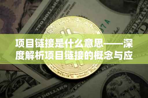 项目链接是什么意思——深度解析项目链接的概念与应用