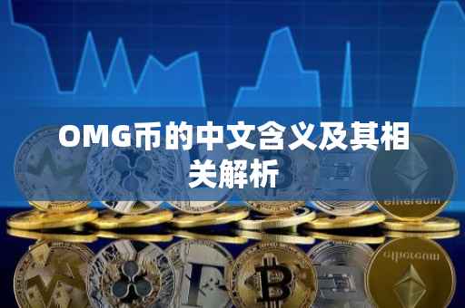 OMG币的中文含义及其相关解析