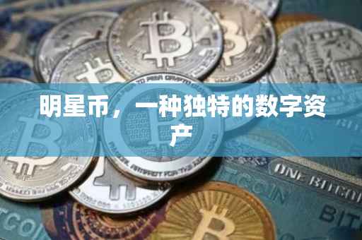 明星币，一种独特的数字资产