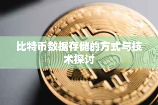 比特币数据存储的方式与技术探讨
