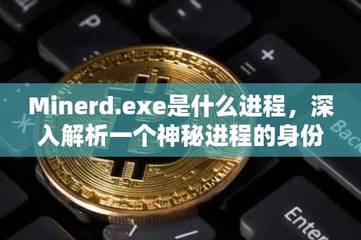 Minerd.exe是什么进程，深入解析一个神秘进程的身份与特性
