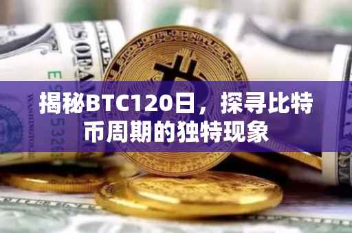 揭秘BTC120日，探寻比特币周期的独特现象