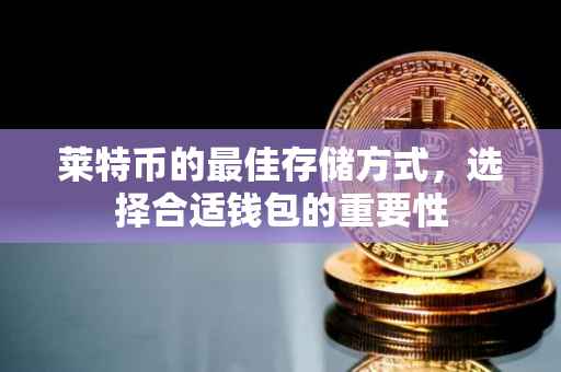 莱特币的最佳存储方式，选择合适钱包的重要性