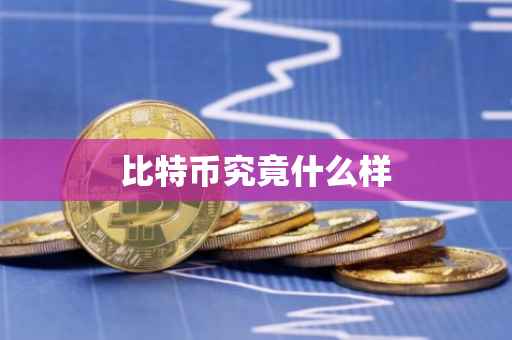 比特币究竟什么样