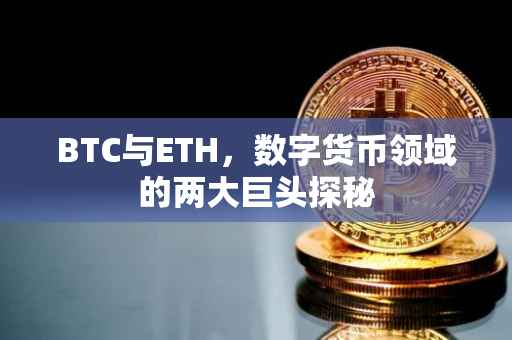 BTC与ETH，数字货币领域的两大巨头探秘