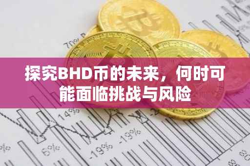 探究BHD币的未来，何时可能面临挑战与风险