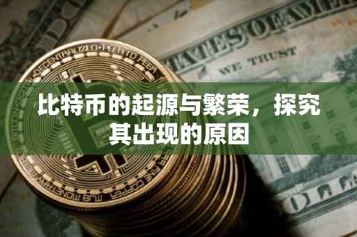 比特币的起源与繁荣，探究其出现的原因