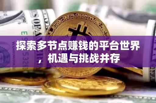 探索多节点赚钱的平台世界，机遇与挑战并存